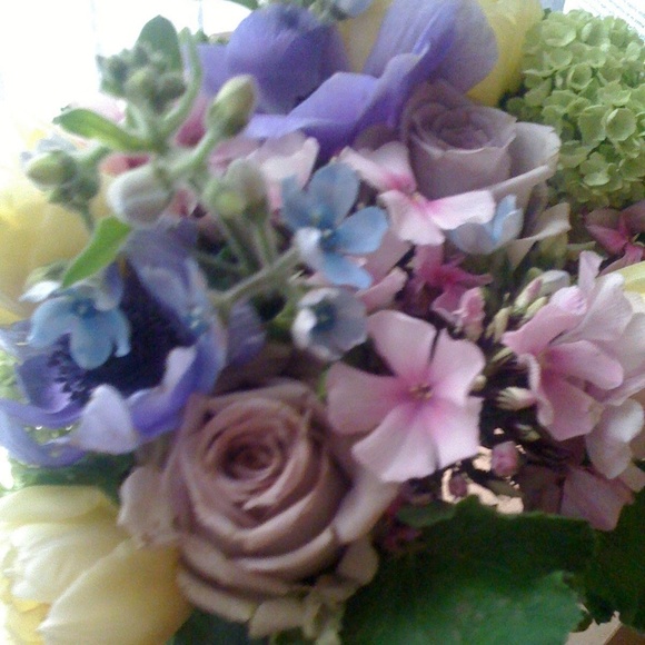 Meet your Posher, Susannah - Picture 4 of 6